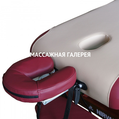 Массажный стол DFC SUPERIOR TS300 купить в Москве | Massage-Gallery.ru